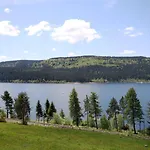 Peter - Familienurlaub Mit Indoorpool * Schluchsee