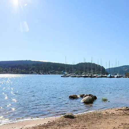 Apartament Peter - Familienurlaub Mit Indoorpool Schluchsee