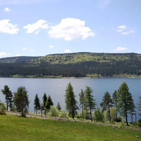 Peter - Familienurlaub Mit Indoorpool * Schluchsee